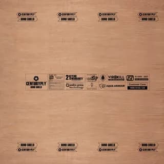 CenturyPly Century Bond Shield Plywood