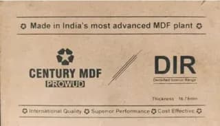 Century Prowud DIR Plain Board Standard