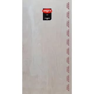 Austin Plywood Lincoln Mr (Mr Grade Ply) Plywood