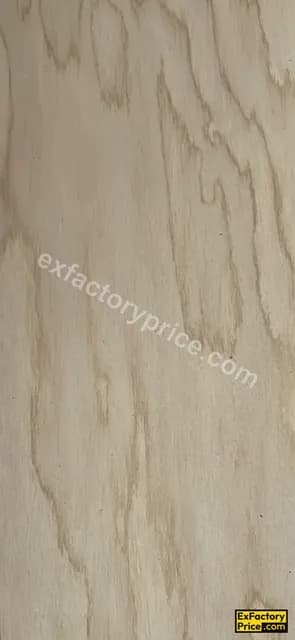 Neltouch TC-04-9163 Rotory Golden Brich 1 mm